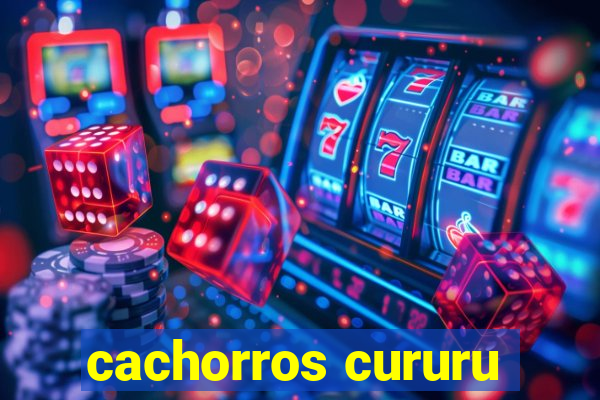 cachorros cururu